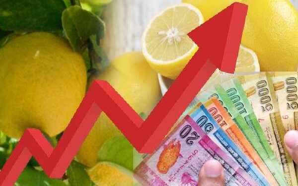 உச்சத்தைத் தொட்ட தேசிக்காய்!