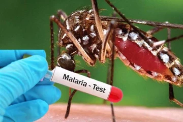 மீண்டும் அதிகரித்த மலேரியா நோயாளர்கள்!