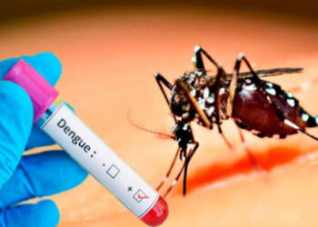 41 ஆயிரத்தை கடந்த டெங்கு நோயாளர்களின் எண்ணிக்கை!