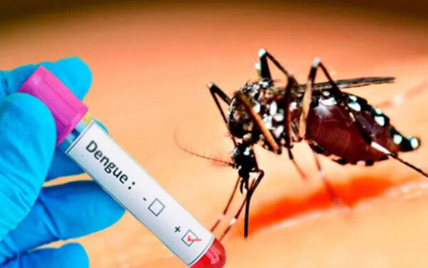 41 ஆயிரத்தை கடந்த டெங்கு நோயாளர்களின் எண்ணிக்கை!
