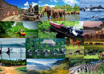 ஜனாதிபதியால் அறிமுகப்படுத்தப்பட்ட இணையத்தளம்