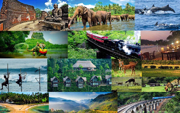 ஜனாதிபதியால் அறிமுகப்படுத்தப்பட்ட இணையத்தளம்