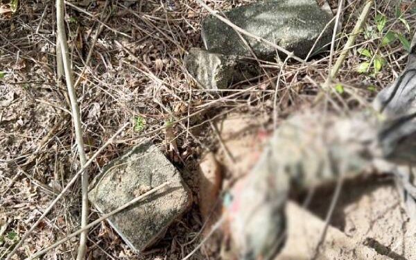 காணியொன்றில் வெடிபொருட்களுடன், விடுதலைப் புலிகளின் கொடி மீட்பு