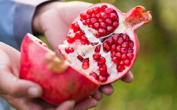 இலங்கையில் கண்டுபிடிக்கப்பட்ட இரண்டு மாதுளை இனங்கள்