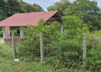 பற்றைக்காடாக காட்சியளிக்கும் இந்து மயானம்!