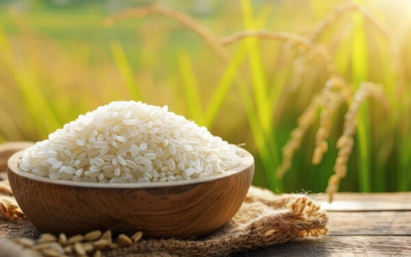 நெல், தேங்காய் உற்பத்தி அதிகரிப்பு : மத்திய வங்கி!