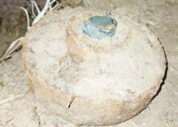 வயலில் இருந்து மிதிவெடி மீட்பு!