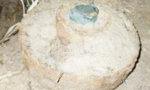 வயலில் இருந்து மிதிவெடி மீட்பு!