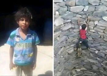 நாயைக் காப்பாற்றிய சிறுவன்