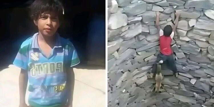 நாயைக் காப்பாற்றிய சிறுவன்