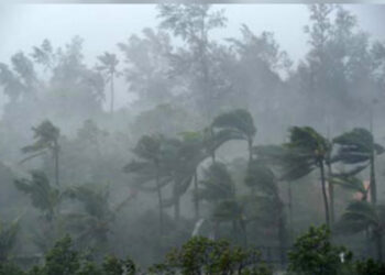 காற்றுடன் கூடிய மழை : வீடுகள் சேதம்!