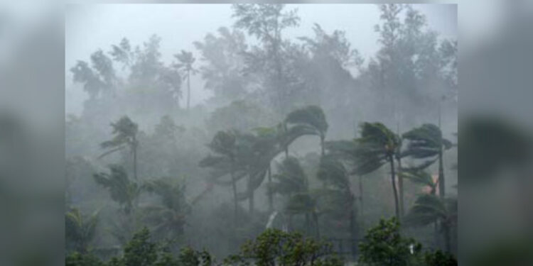 காற்றுடன் கூடிய மழை : வீடுகள் சேதம்!