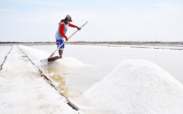 மீள் ஏற்றுமதி செய்யப்படவுள்ள உப்பு!