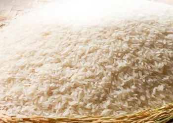 கீரி சம்பாவுக்கு பதிலாக பொன்னி!