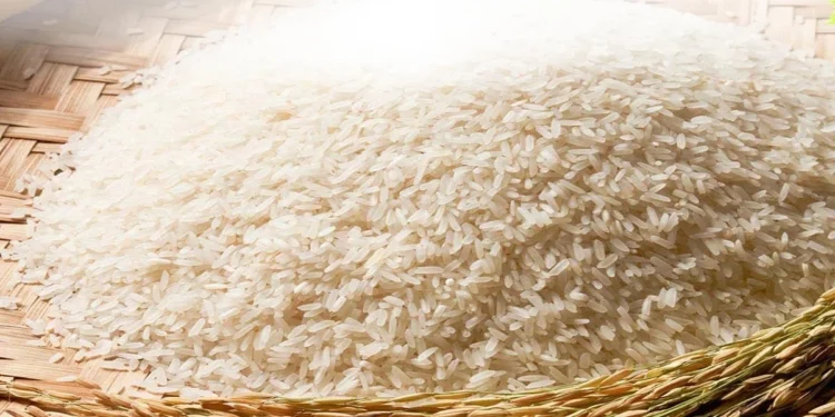 கீரி சம்பாவுக்கு பதிலாக பொன்னி!