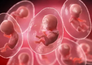 விந்தணு வங்கி : பத்து பெண்கள் கருத்தரிப்பு