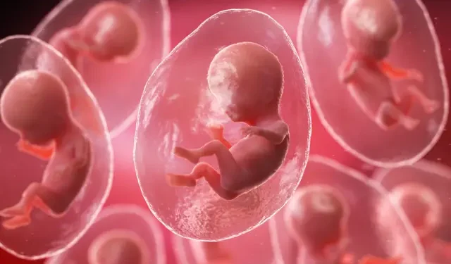 விந்தணு வங்கி : பத்து பெண்கள் கருத்தரிப்பு