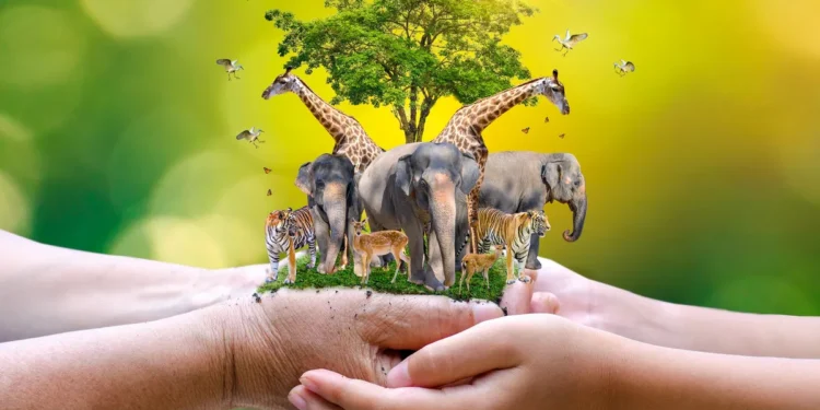 உலக விலங்குகள் தினம் இன்று