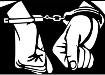 கையடக்க தொலைபேசிகளை களவாடிய மூவர் கைதாகினர்!