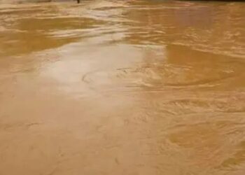 சாவகச்சேரியில் வெள்ளவாய்க்கால் சீர்செய்யும் பணி