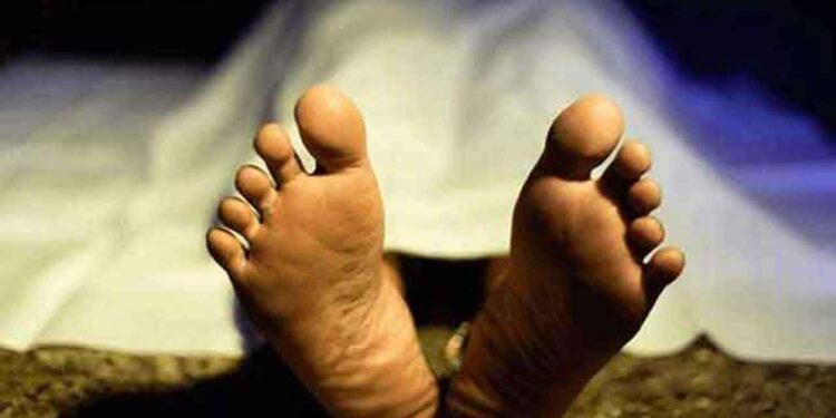 கூரிய ஆயுதத்தால் தாக்கி மூதாட்டி கொலை!