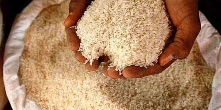 கீரி சம்பாவுக்கு மாற்றாக பொன்னி!