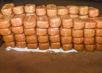 கொழும்பிலிருந்து மும்பைக்கு கடத்தப்பட்ட கஞ்சா மீட்பு!