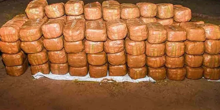 கொழும்பிலிருந்து மும்பைக்கு கடத்தப்பட்ட கஞ்சா மீட்பு!