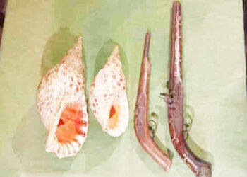 உள்ளூர் துவக்குகள், வலம்புரிச் சங்குகள் வைத்திருந்தவர் கைது!