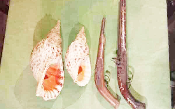 உள்ளூர் துவக்குகள், வலம்புரிச் சங்குகள் வைத்திருந்தவர் கைது!