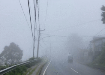 கன மழை, மூடுபனி : இயல்பு வாழ்க்கை பாதிப்பு