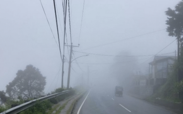 கன மழை, மூடுபனி : இயல்பு வாழ்க்கை பாதிப்பு