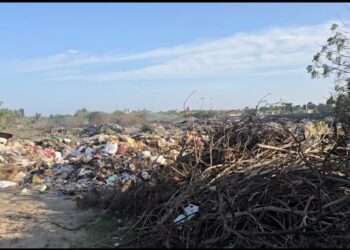 மன்னாரில் திண்மக்கழிவுகளால் தொடர் பிரச்சினை