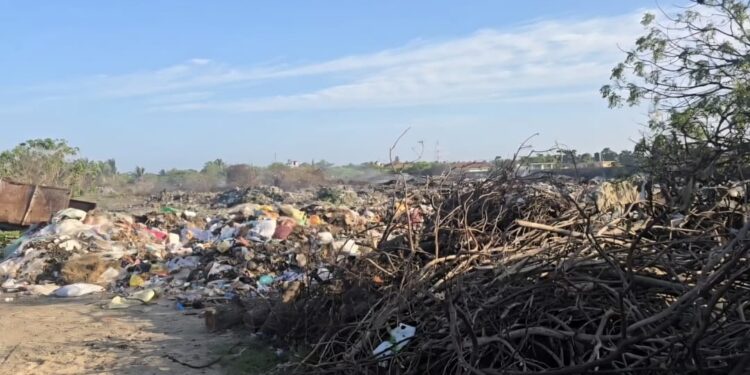 மன்னாரில் திண்மக்கழிவுகளால் தொடர் பிரச்சினை