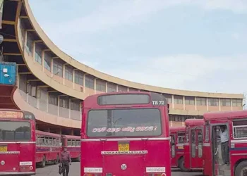 தீபாவளியை முன்னிட்டு விசேட போக்குவரத்து!