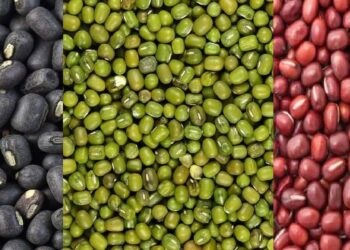 7 இலட்சம் பெறுமதியில் சத்துணவு!