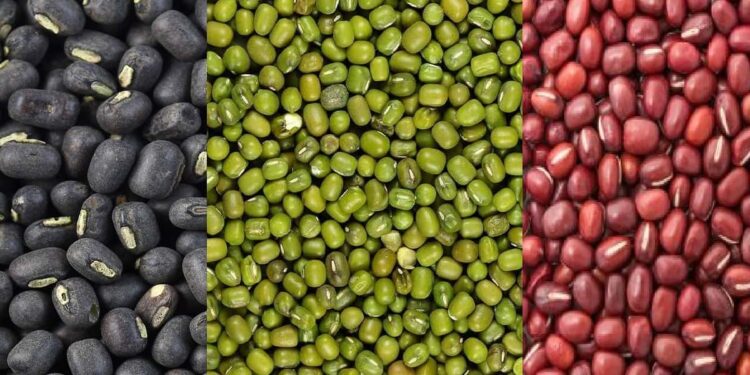 7 இலட்சம் பெறுமதியில் சத்துணவு!