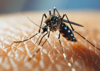 யாழ். மக்களுக்கு எச்சரிக்கை!