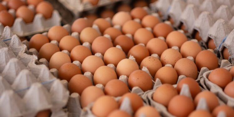 முட்டை விலை தொடர்பான அறிவித்தல்!