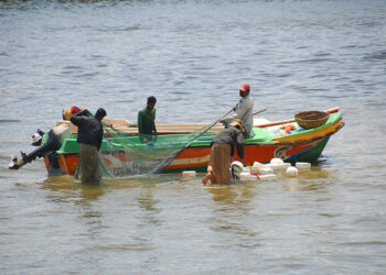 30 இந்திய மீனவர்கள் விளக்கமறியலில்