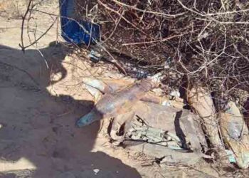 வவுணதீவில் மீட்கப்பட்ட வெடிபொருட்கள்!