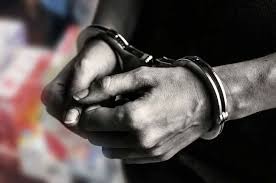 போதைப் பொருளை வளர்த்தவர் கைது!