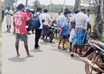 நானாட்டானில் மாடுகளை திருடிய மூவர் கைது!