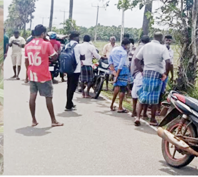 நானாட்டானில் மாடுகளை திருடிய மூவர் கைது!