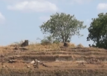 12 ஆண்டுகளின் பின் பராக்கிரம சமுத்திரத்தில் குளிர்கால அரண்மனையை பார்வையிட வாய்ப்பு