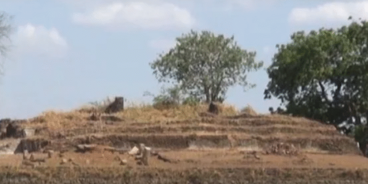 12 ஆண்டுகளின் பின் பராக்கிரம சமுத்திரத்தில் குளிர்கால அரண்மனையை பார்வையிட வாய்ப்பு