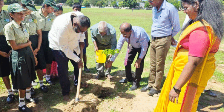 நூற்றாண்டு விழாவை முன்னிட்டு மரம் நடுகை