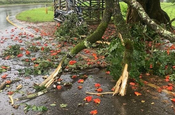 சீரற்ற வானிலையால் போக்குவரத்து பாதிப்பு!