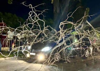 கார் மீது விழுந்த மரக்கிளை!