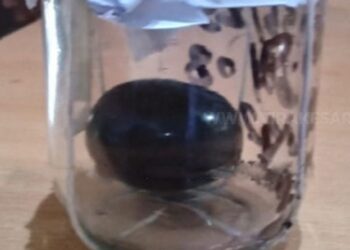 மாணிக்கக் கல்லை விற்பனை செய்ய முயன்ற மூவர் கைது!